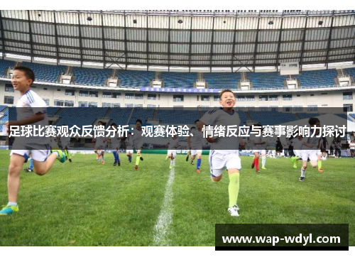 足球比赛观众反馈分析：观赛体验、情绪反应与赛事影响力探讨