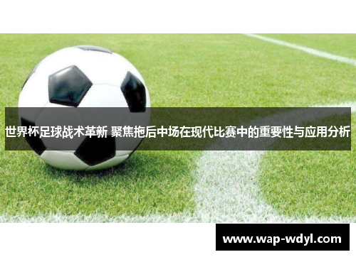 世界杯足球战术革新 聚焦拖后中场在现代比赛中的重要性与应用分析