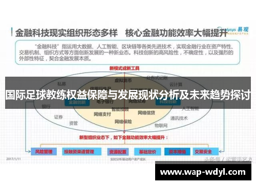 国际足球教练权益保障与发展现状分析及未来趋势探讨