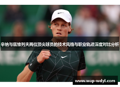 辛纳与兹维列夫两位顶尖球员的技术风格与职业轨迹深度对比分析