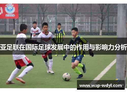 亚足联在国际足球发展中的作用与影响力分析