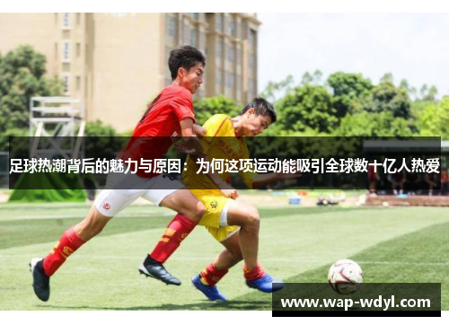 足球热潮背后的魅力与原因:为何这项运动能吸引全球数十亿人热爱 足球热潮背后的魅力与原因:为何这项运动能吸引全球数十亿人热爱
