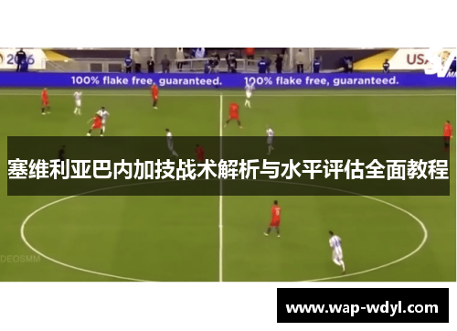 塞维利亚巴内加技战术解析与水平评估全面教程