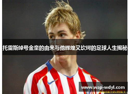 托雷斯绰号金童的由来与他辉煌又坎坷的足球人生揭秘