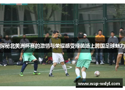 探秘北美洲杯赛的激情与荣耀感受绿茵场上跨国足球魅力 探秘北美洲杯赛的激情与荣耀感受绿茵场上跨国足球魅力