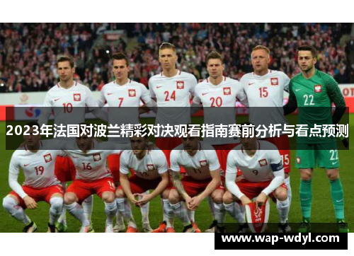 2023年法国对波兰精彩对决观看指南赛前分析与看点预测 2023年法国对波兰精彩对决观看指南赛前分析与看点预测
